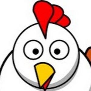 Meet your Posher, Ray